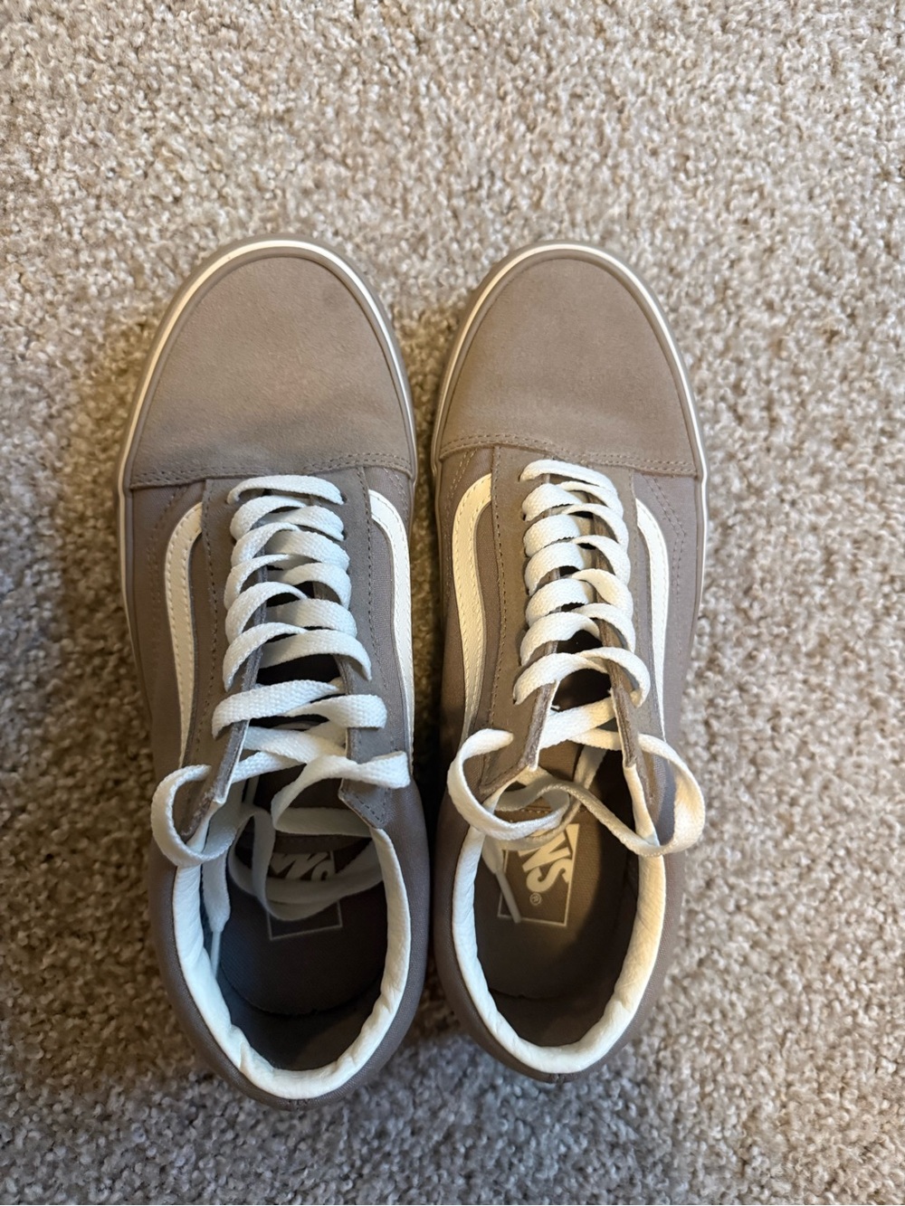 Vans Old Skool Shoe